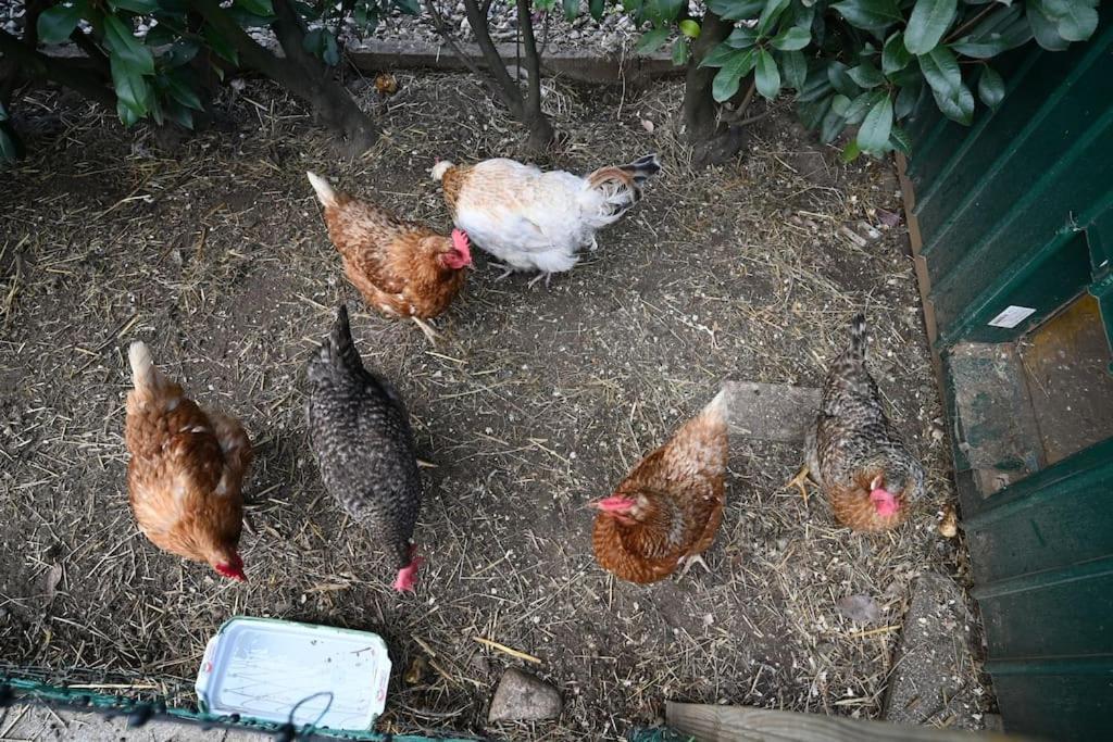 Ferienwohnung Dielangthalers Exklusive Oase Seiersberg Exterior foto